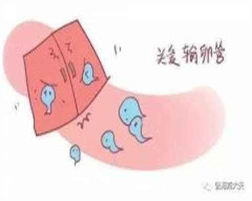北京助孕医院双胞胎多少钱